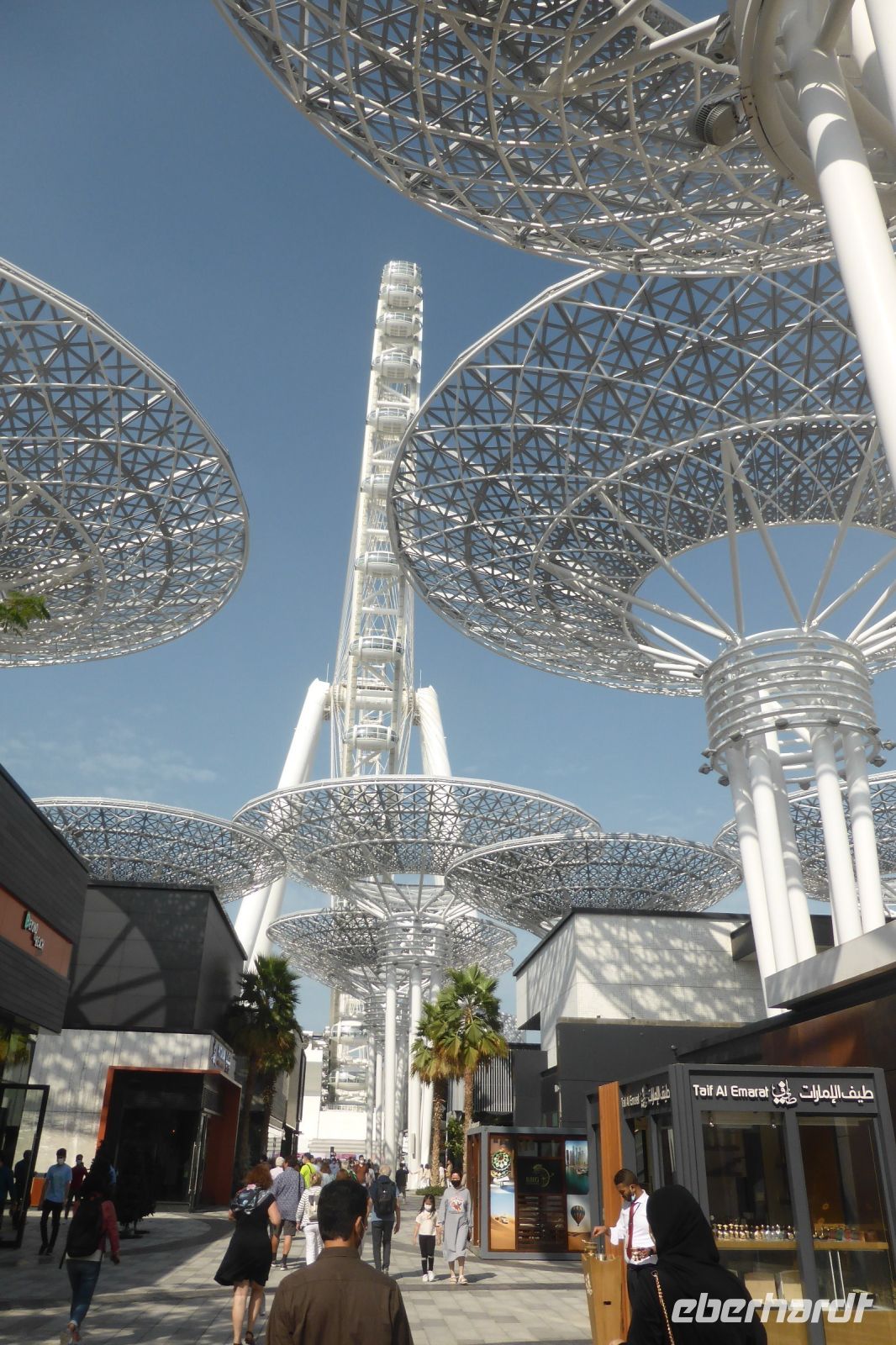 Blue Water Island mit dem Riesenrad Ain Dubai (Dubai Eye)