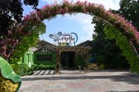 Silvesterreise Dubai - Butterfly Garden (1)