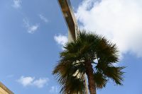 Silvesterreise Dubai - Dubai Frame (3)