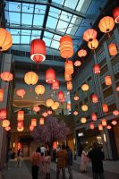 Silvesterreise Dubai - Dubai Mall (4)