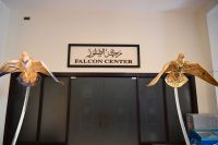 Silvesterreise Dubai - Falekncenter (1)