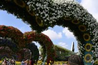 Silvesterreise Dubai - Miracle Garden (1)