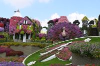 Silvesterreise Dubai - Miracle Garden (2)