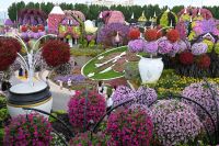 Silvesterreise Dubai - Miracle Garden (3)