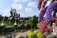 Silvesterreise Dubai - Miracle Garden (5)
