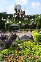 Silvesterreise Dubai - Miracle Garden (6)