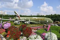 Silvesterreise Dubai - Miracle Garden (7)
