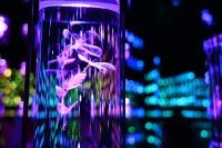 Silvesterreise Dubai - Museum of the Future (5)