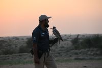 Silvesterreise Dubai - Wüstensafari (11)