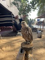 Dubais alte Viertel - Al Sharif