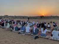 Falkenshow in der Wüste