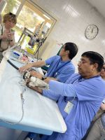 Falkenklinik in Abu Dhabi