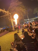 Feuershow- Silvesterfeier 2024-25 