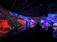 Dubai - Museum of the Future