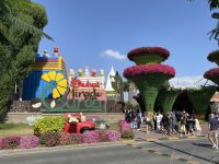 Dubai Mircale Garden