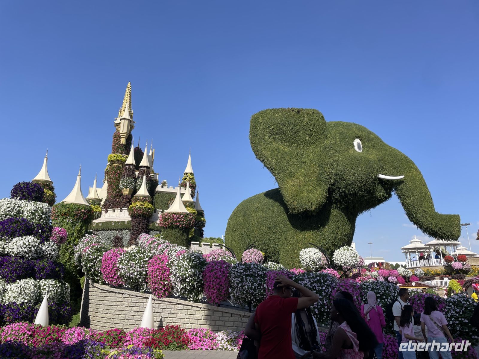 Dubai Mircale Garden