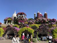 Dubai Mircale Garden