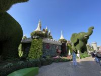 Dubai Mircale Garden