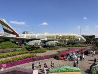 Dubai Mircale Garden