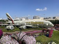 Dubai Mircale Garden