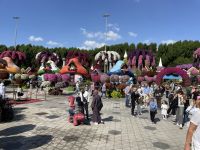 Dubai Mircale Garden