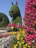 Dubai Miracle Garden