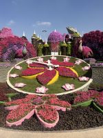 Dubai Miracle Garden