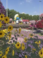 Dubai Miracle Garden