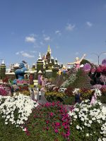 Dubai Miracle Garden