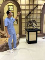 Abu Dhabi Falkenkrankenhaus