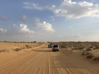 Wüstensafari