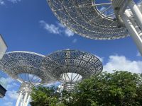 Ausflug zum Riesenrad Ain Dubai
