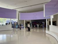 Ausflug zum Riesenrad Ain Dubai