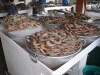 Fischmarkt in Sharjah