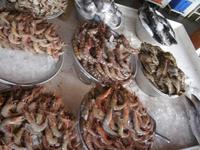 Fischmarkt in Sharjah