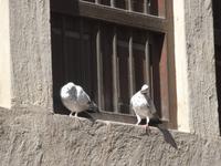 Bastakyja - Altstadt von Dubai