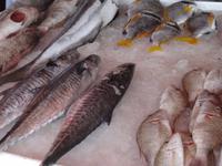 Besuch auf dem Fischmarkt