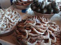 Besuch auf dem Fischmarkt