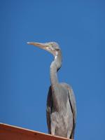 Wir warten auf Futter!