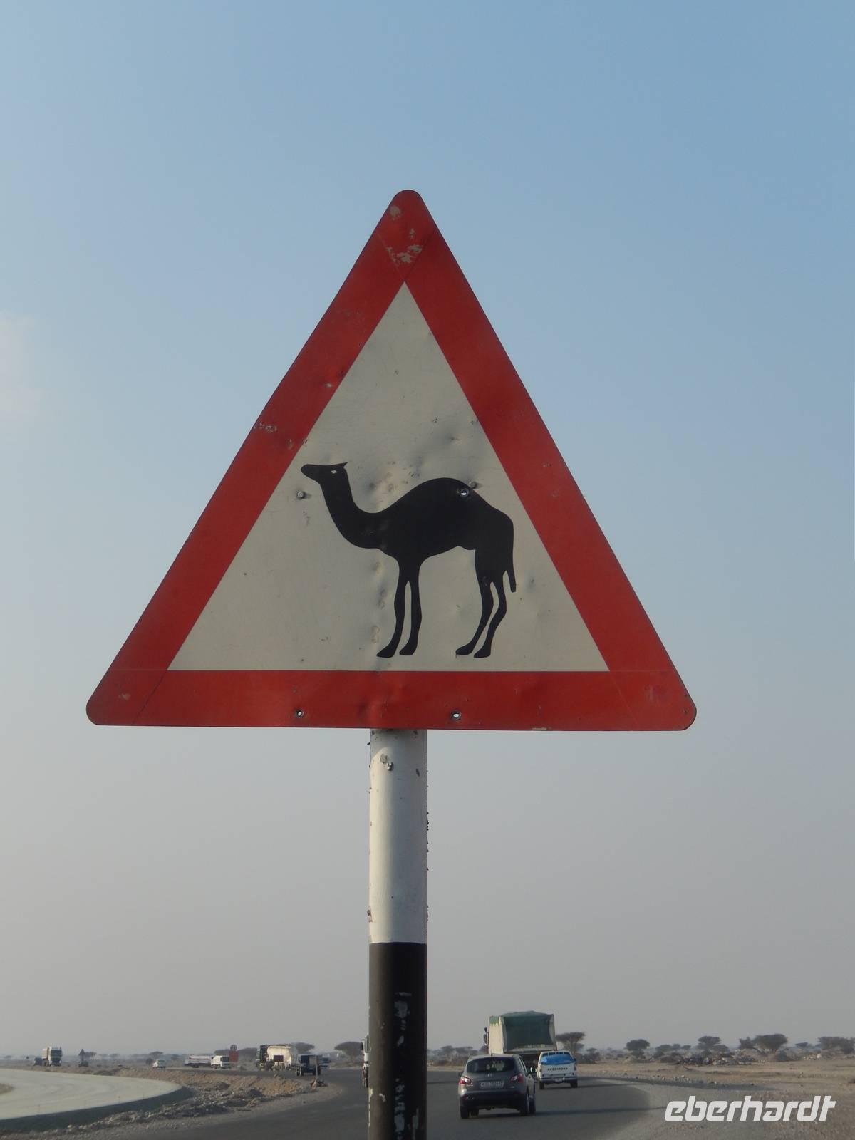 Achtung Kamel