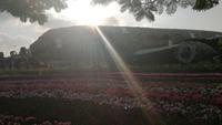 A380 Miracle Gardens Dubai