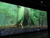 Besuch im Museum of the Future - Dubai im Jahr 2071