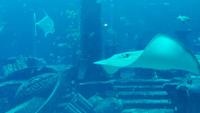 Dubai Atlantis Hotel