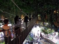 Dubai Mall Zoo