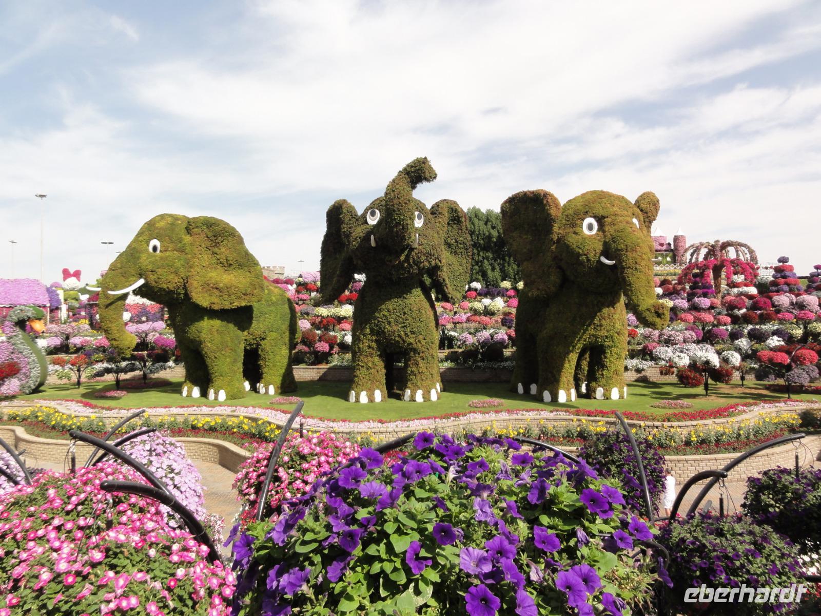 Dubai Miracle Garden