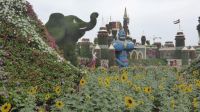 Dubai Miracle Garden