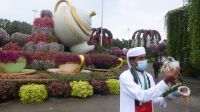 Dubai Miracle Garden