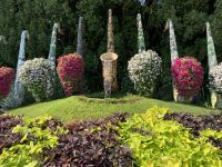 Dubai Miracle Gardens