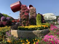 Dubai Miracle Gardens