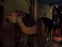 Dubai Museum